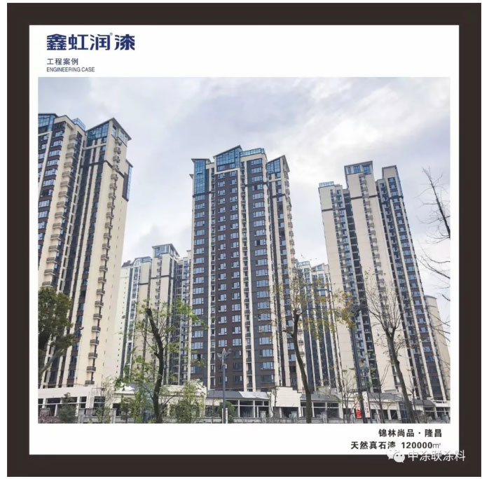 中涂聯股東赴成都虹潤制漆有限公司交流學習(圖4)