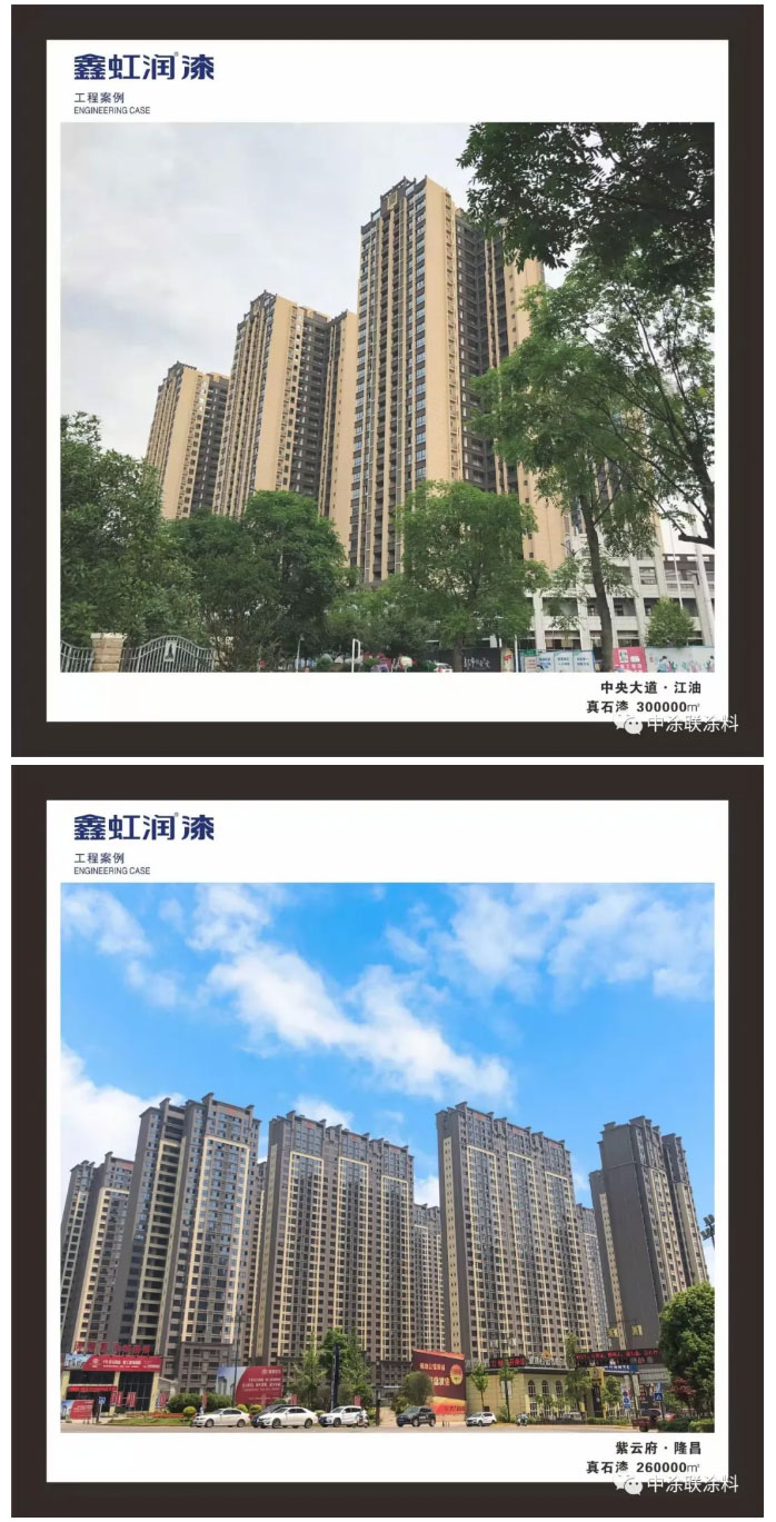 中涂聯股東赴成都虹潤制漆有限公司交流學習(圖5)